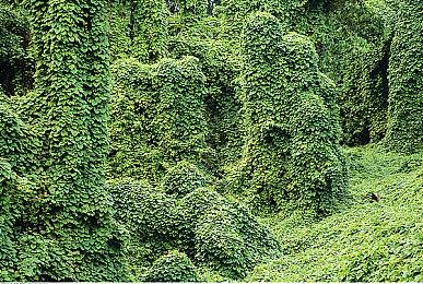 《最终幻想16》四张新截图 巨大水晶高耸入云